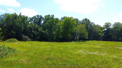 Located just 1.5 miles north of Mount Ida, this 3.34-acre lot is - photo 29