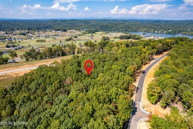 Welcome to an extraordinary opportunity in East Tennessee - photo 29