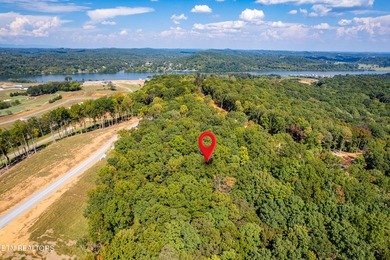 Welcome to an extraordinary opportunity in East Tennessee - photo 30