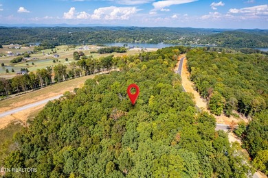 Welcome to an extraordinary opportunity in East Tennessee - photo 32