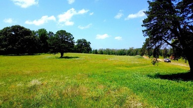 Located just 1.5 miles north of Mount Ida, this 3.34-acre lot is - photo 33