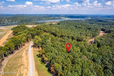 Welcome to an extraordinary opportunity in East Tennessee - photo 33