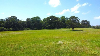 Located just 1.5 miles north of Mount Ida, this 3.34-acre lot is - photo 34