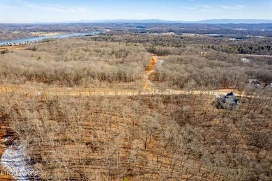 Welcome to an extraordinary opportunity in East Tennessee - photo 34