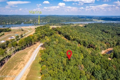 Welcome to an extraordinary opportunity in East Tennessee - photo 37