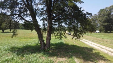 Located just 1.5 miles north of Mount Ida, this 3.34-acre lot is - photo 38