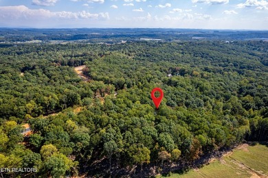 Welcome to an extraordinary opportunity in East Tennessee - photo 38