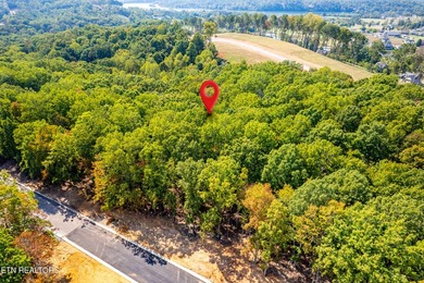 Welcome to an extraordinary opportunity in East Tennessee - photo 41