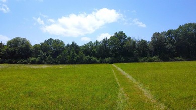 Located just 1.5 miles north of Mount Ida, this 3.34-acre lot is - photo 42