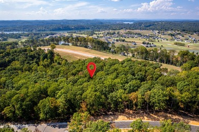 Welcome to an extraordinary opportunity in East Tennessee - photo 42