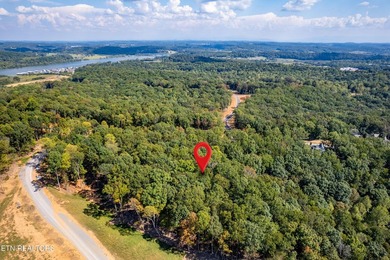Welcome to an extraordinary opportunity in East Tennessee - photo 43