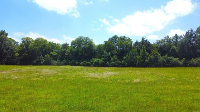 Located just 1.5 miles north of Mount Ida, this 3.34-acre lot is - photo 44