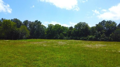 Located just 1.5 miles north of Mount Ida, this 3.34-acre lot is - photo 45