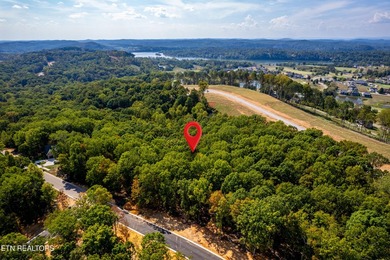 Welcome to an extraordinary opportunity in East Tennessee - photo 45