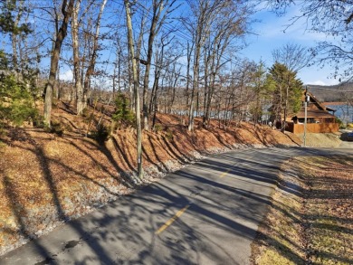 Cherokee Lakefront Lot in Chelaque - photo 4