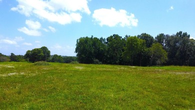 Located just 1.5 miles north of Mount Ida, this 3.34-acre lot is - photo 47
