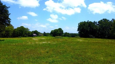 Located just 1.5 miles north of Mount Ida, this 3.34-acre lot is - photo 48