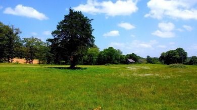 Located just 1.5 miles north of Mount Ida, this 3.34-acre lot is - photo 49