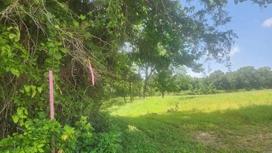 Located just 1.5 miles north of Mount Ida, this 3.34-acre lot is - photo 50