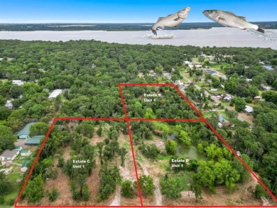 Lake Lot For Sale in Gordonville, Texas