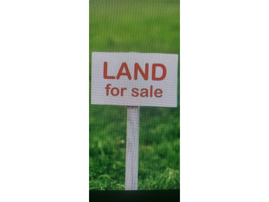 THIS VERY NICE LARGE LOT OF LAND IS IDEALY SUITABLE TO CREATE - photo 1
