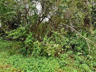 THIS VERY NICE LARGE LOT OF LAND IS IDEALY SUITABLE TO CREATE - photo 2