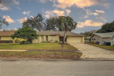 Lake Tarpon Home For Sale in Palm Harbor Florida