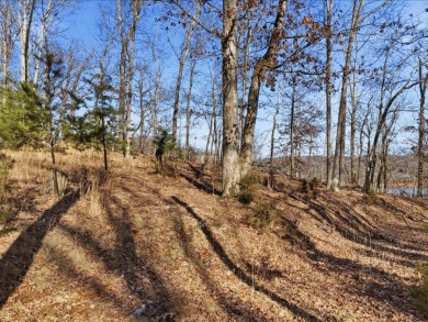 Cherokee Lakefront Lot in Chelaque - photo 6