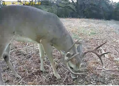 (private lake, pond, coastal) Acreage For Sale in Clifton Texas