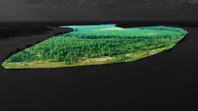 Lake Acreage For Sale in Haworth, Oklahoma
