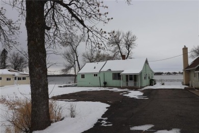 Lake Home For Sale in Grey Eagle, Minnesota