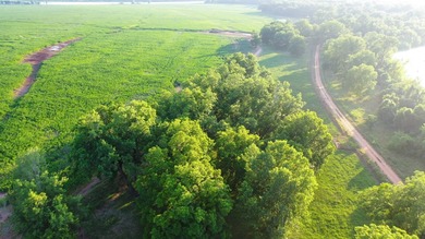 Irrigated Red River Farm & Hunting Ranch McCurtain County - photo 3