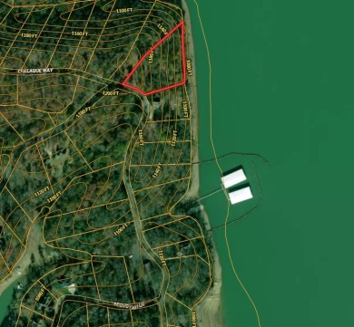Cherokee Lakefront Lot in Chelaque - photo 29