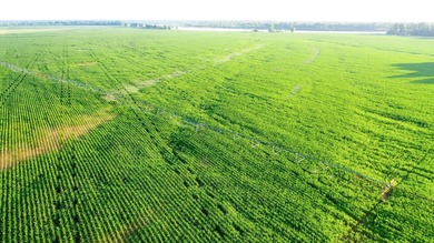Irrigated Red River Farm & Hunting Ranch McCurtain County - photo 4