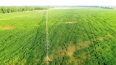 Irrigated Red River Farm & Hunting Ranch McCurtain County - photo 5