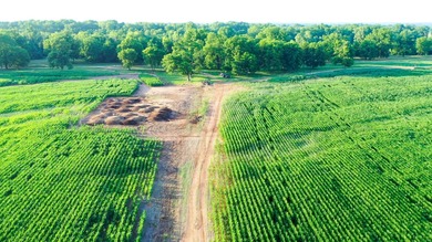 Irrigated Red River Farm & Hunting Ranch McCurtain County - photo 6