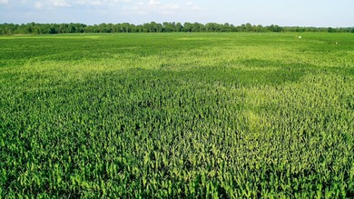 Irrigated Red River Farm & Hunting Ranch McCurtain County - photo 10