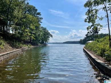 Spacious waterfront property with amazing views! Lots 10 & 11 SOL - Lake Acreage SOLD! in Wedowee, Alabama