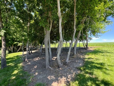Back lot year-round home on the North Side of Roy Lake in - photo 43