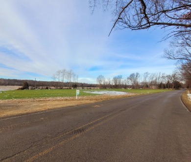 Lake Acreage For Sale in Horton, Michigan