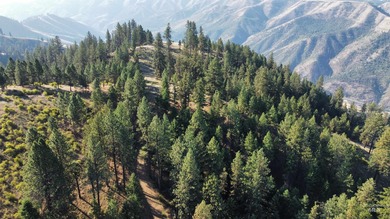 (private lake, pond, creek) Acreage For Sale in Kamiah Idaho