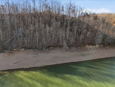 Cherokee Lakefront Lot in Chelaque - photo 11