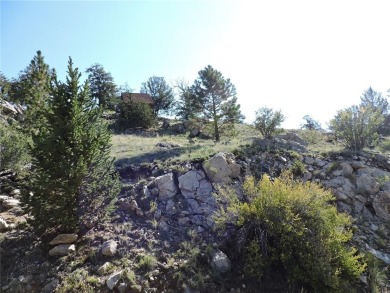 Lake Acreage For Sale in Hartsel, Colorado