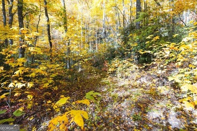 Hiking anyone? This 7.18 acres at an elevation of over 3000 feet - photo 11