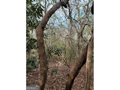 Hiking anyone? This 7.18 acres at an elevation of over 3000 feet - photo 13