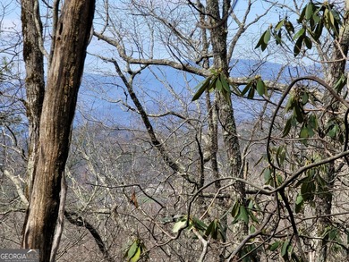 Hiking anyone? This 7.18 acres at an elevation of over 3000 feet - photo 14