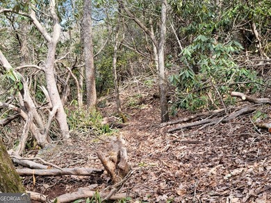 Hiking anyone? This 7.18 acres at an elevation of over 3000 feet - photo 15