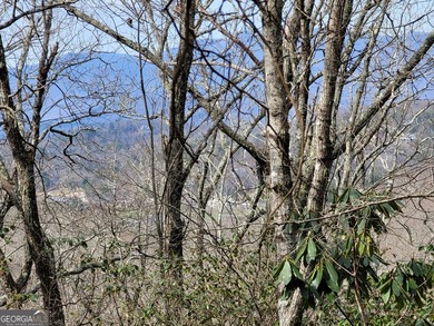 Hiking anyone? This 7.18 acres at an elevation of over 3000 feet - photo 16