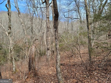 Hiking anyone? This 7.18 acres at an elevation of over 3000 feet - photo 17