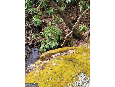 Hiking anyone? This 7.18 acres at an elevation of over 3000 feet - photo 18
